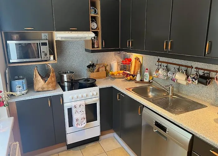 Apartman Old Town With Sauna. *